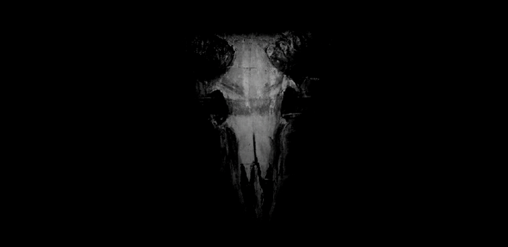 Ghostek